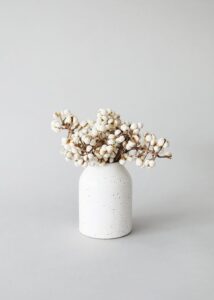 Natural Tallow Berries in White