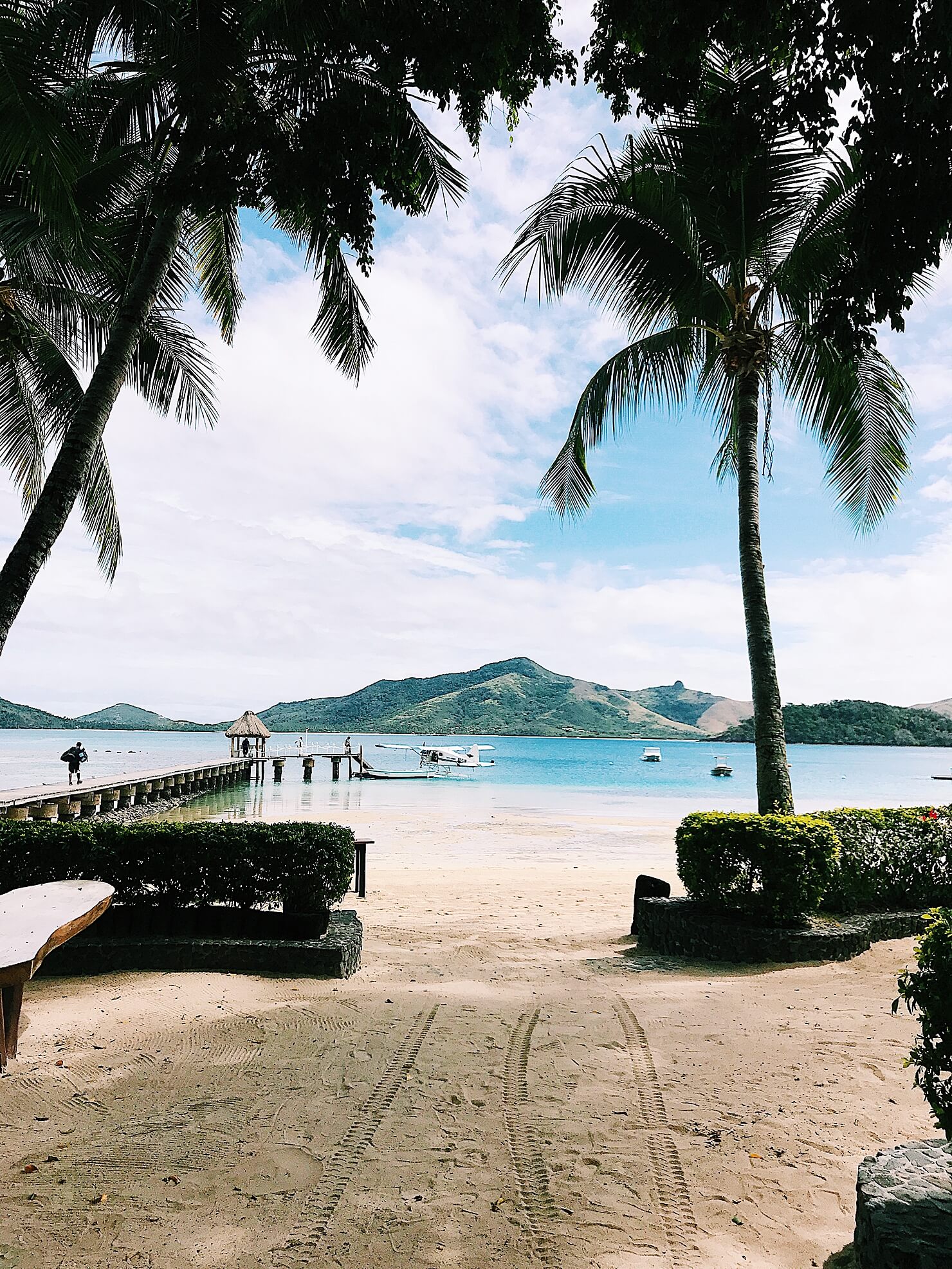 brighton butler fiji turtle island