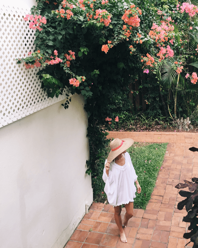 cobblers cove clothing boutique