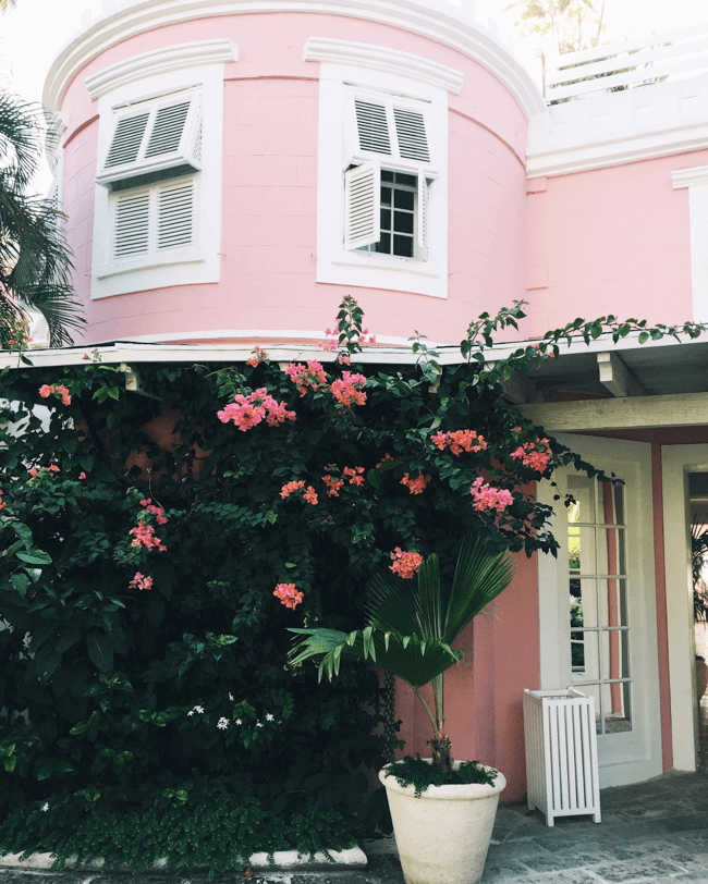 cobbler's cove pink hotel